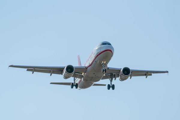 Explorez en Famille : Votre Guide Complet pour Vivre le Festival d'Avignon !